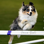 jump_3878 copy