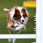jump_3840 copy (1)